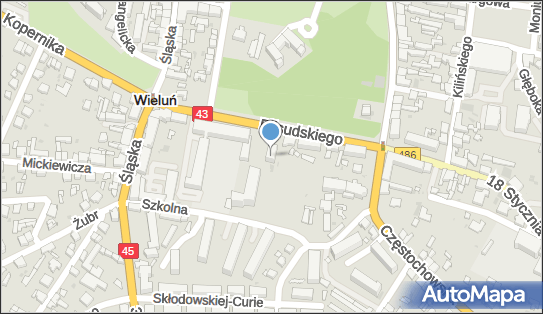 Przychodnia Specjalistyczna Medyk, ul. Józefa Piłsudskiego 8 98-300 - Przedsiębiorstwo, Firma, numer telefonu, NIP: 8321007464