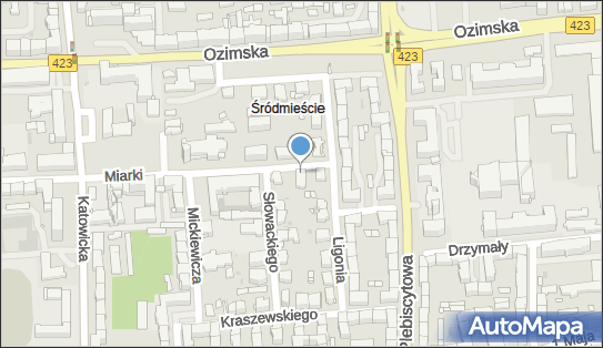 Przyjazny Projekt PL, ul. Karola Miarki 4, Opole 45-367 - Przedsiębiorstwo, Firma, NIP: 7543031439