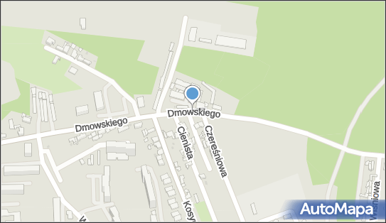 Pub Kamrat Adrianna Bieńczak Iwona Hejzner, ul. Romana Dmowskiego 41-219 - Przedsiębiorstwo, Firma, NIP: 6443497480