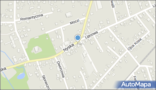 Publiczna Szkoła Podstawowa nr 30, ul. Nyska 1, Opole 45-940 - Przedsiębiorstwo, Firma, numer telefonu, NIP: 9910170169