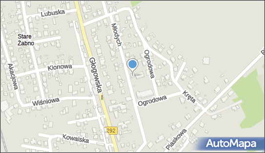 9251470914, Szkoła Podstawowa nr 5 im.Władysława Broniewskiego 