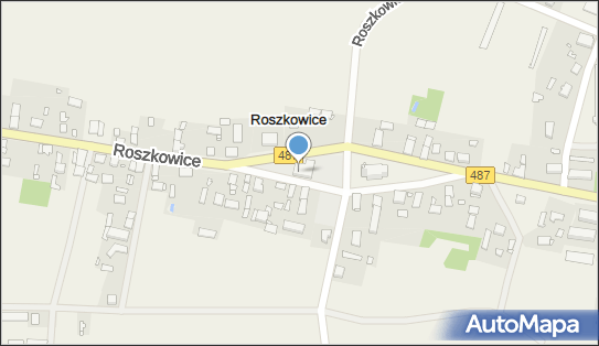 Publiczna Szkoła Podstawowa w Roszkowicach, Roszkowice 88 46-220 - Przedsiębiorstwo, Firma, numer telefonu, NIP: 7511502350