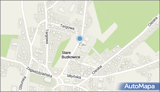 9910173096, Publiczna Szkoła Podstawowa w Starych Budkowicach 