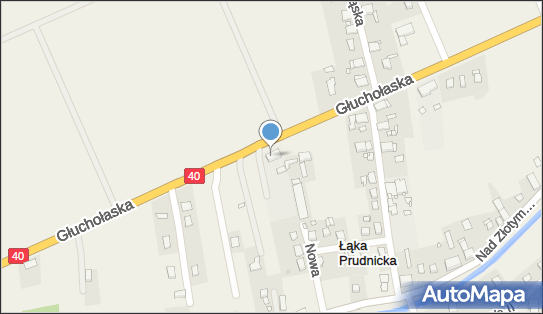 Publiczne Przedszkole pod Kasztanem w Łące Prudnickiej 48-200 - Przedsiębiorstwo, Firma, numer telefonu, NIP: 7551571908