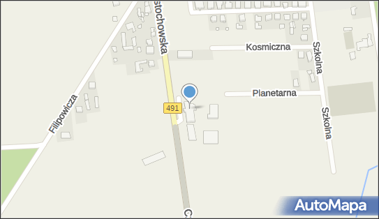 Punkt Apteczny, Częstochowska 18, Miedźno 42-120 - Przedsiębiorstwo, Firma, numer telefonu, NIP: 5741863004