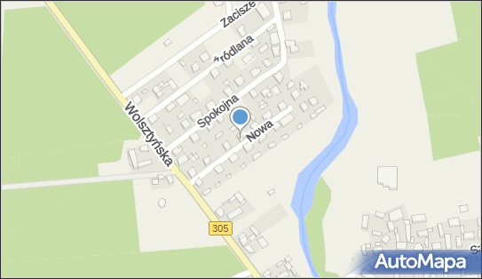 pw Stańczak Weronika Stańczak, Nowa 7, Solec 64-234 - Przedsiębiorstwo, Firma, NIP: 9231602502