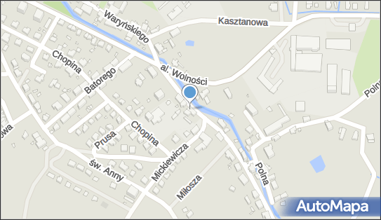 6111287166, Pyryt Zenon 