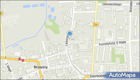 R A J P H U, Lasockich 2/10, Brzeziny 95-060 - Przedsiębiorstwo, Firma, NIP: 8331250226