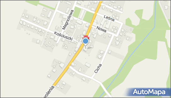 Radosław Brzozowski, Wyzwolenia 77, Pawłowiczki 47-280 - Przedsiębiorstwo, Firma, NIP: 7492068348