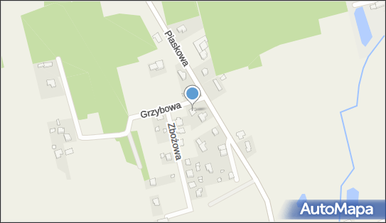 Radosław Krawczyk, Piaskowa 31, Zielona Łąka 63-300 - Przedsiębiorstwo, Firma, NIP: 6171455785