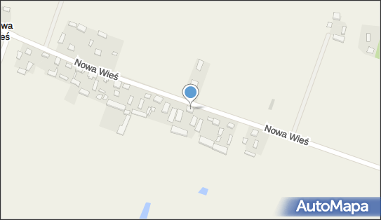 Radosław Przespolewski, Nowa Wieś 4, Nowa Wieś 99-200 - Przedsiębiorstwo, Firma, NIP: 8281380411