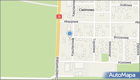 Radosław Walczak Immolink Walczak Radosław, Kasztanowa 26 62-220 - Przedsiębiorstwo, Firma, NIP: 7841445460