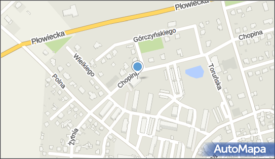 Radosław Waśkiewicz, ul. Fryderyka Chopina 4, Radziejów 88-200 - Przedsiębiorstwo, Firma, NIP: 8891158243