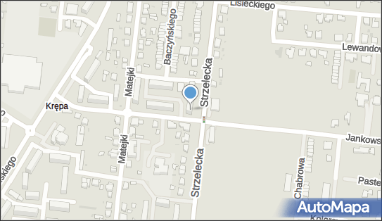 Ratownictwo w Miejscu Wezwania, ul. Strzelecka 44A 63-400 - Przedsiębiorstwo, Firma, NIP: 6222330391