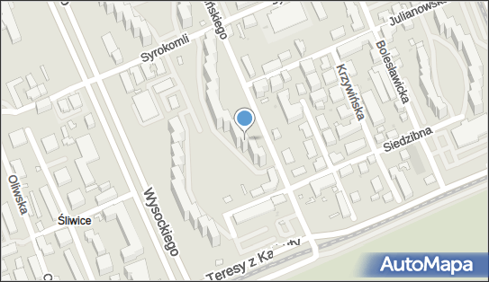 Reggiu Car, Ogińskiego Michała Kleofasa 1, Warszawa 03-318 - Przedsiębiorstwo, Firma, NIP: 5242786679