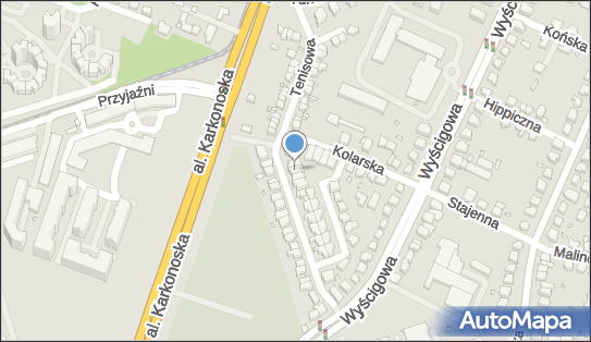 Regimosoft Tomasz Regimowicz, Tenisowa 20, Wrocław 53-013 - Przedsiębiorstwo, Firma, NIP: 7551678747