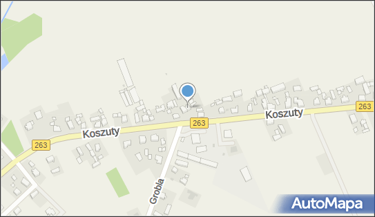 Regionalne Przedsiębiorstwo Wielobranżowe Astra, Grobla 48 62-400 - Przedsiębiorstwo, Firma, NIP: 6670000413