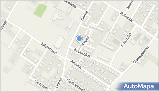 Reklama i Wnętrze Tomasz Kasprzyk, Prusa 1, Strzałkowo 62-420 - Przedsiębiorstwo, Firma, NIP: 6671306580