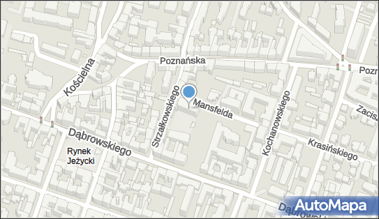 Remedis, ul. Petera Mansfelda 4, Poznań 60-855 - Przedsiębiorstwo, Firma, numer telefonu, NIP: 7811792748