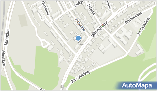 Remo Kęcińska Maria Horbacz Jarosław, ul. Winogrady 31/33 61-663 - Przedsiębiorstwo, Firma, NIP: 9720529101