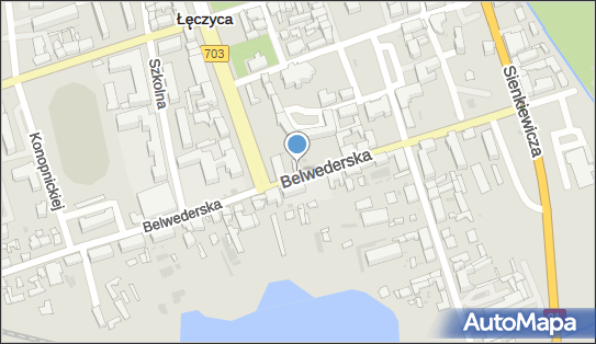 Renija, Belwederska 12, Łęczyca 99-100 - Przedsiębiorstwo, Firma, NIP: 7751461426