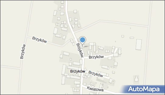 Repro.Geo Lucjan Winkler, Brzyków 84, Brzyków 55-100 - Przedsiębiorstwo, Firma, NIP: 9151597058