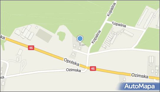 7542980004, Revive Terstin Lichwała 