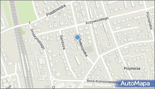 5842621113, Rex - Adam Głombiowski 