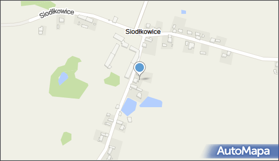 Ring-Asj, Siodłkowice 7a, Siodłkowice 56-100 - Przedsiębiorstwo, Firma, numer telefonu, NIP: 9880294463