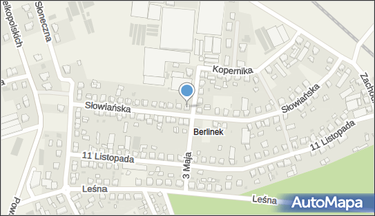 Rivera Paradise Włoszkowice, Słowiańska 28, Włoszakowice 64-140 - Przedsiębiorstwo, Firma, NIP: 6971168484