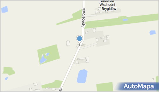 RK - Soft Robert Kalinowski, ul. Spacerowa 36, Nieborów 99-416 - Przedsiębiorstwo, Firma, NIP: 8341731660