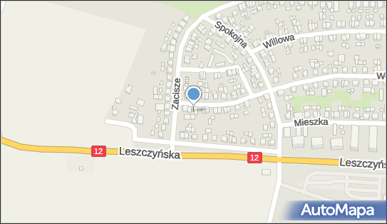 Robert Majewski Przedsiębiorstwo Usługowe Domus, Gostyń 63-800 - Przedsiębiorstwo, Firma, NIP: 6961029261