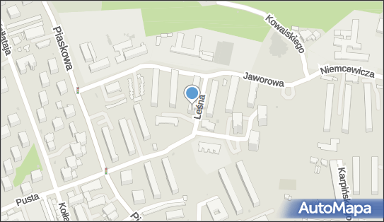 Robert Pacek - Działalność Gospodarcza, Leśna 21, Puławy 24-100 - Przedsiębiorstwo, Firma, NIP: 7161553239