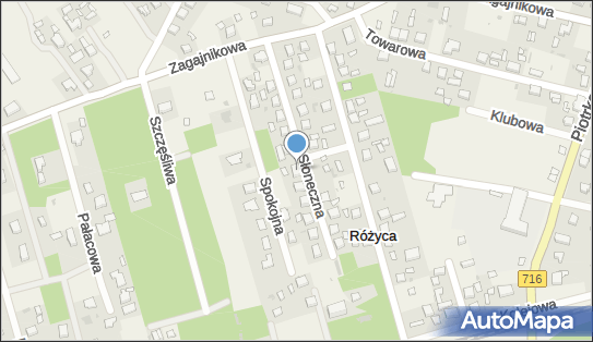 Rogoziński Stanisław - P.P.H.U.Stanlex Export-Import., Różyca 95-040 - Przedsiębiorstwo, Firma, NIP: 7731052363