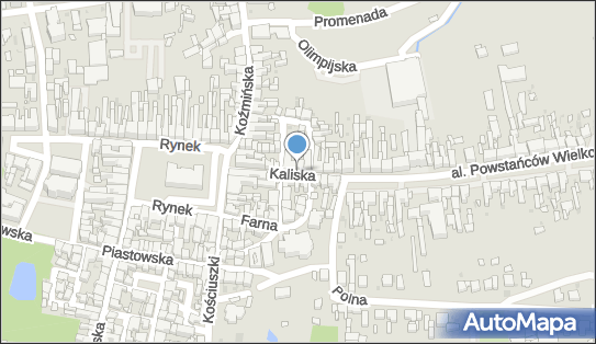 6210031323, P.H.U.Rowitax Roman Witczak 