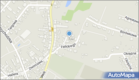 Roxa Polen, ul. dr. W. Felickiego 7, Pniewy 62-045 - Przedsiębiorstwo, Firma, NIP: 7872020425