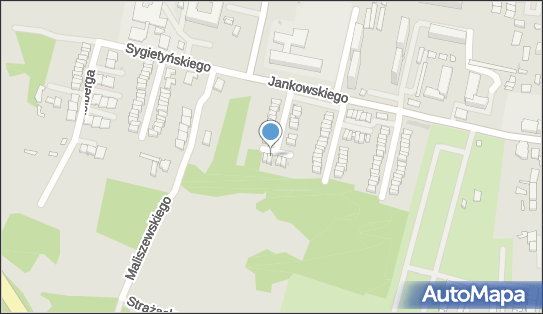 6411527054, RTG - Test Lech Malara 