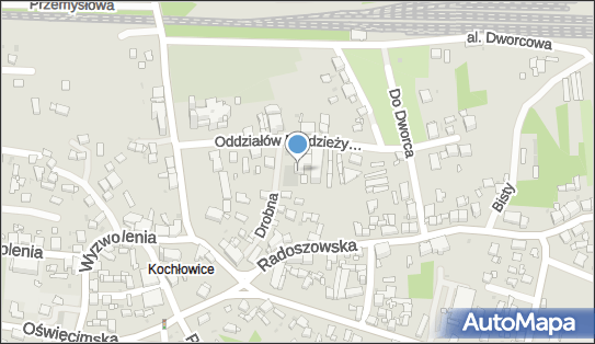 6412215173, Rudzkie Stowarzyszenie Amazonek 