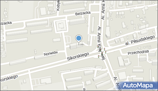 Ryszard Frankowski - Działalność Gospodarcza 97-300 - Przedsiębiorstwo, Firma, NIP: 7711142175