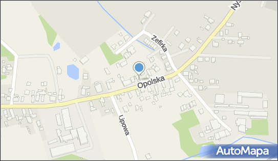 Ryszard Krzysztofowicz - Działalność Gospodarcza, Opolska 8 46-070 - Przedsiębiorstwo, Firma, NIP: 7541075869