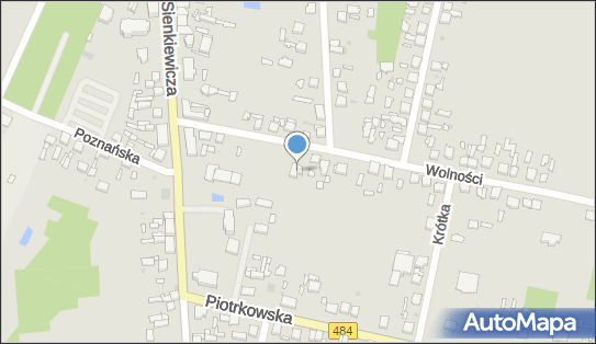 Ryszard Zalisz Firma Handlowo-Usługowa Ryszard, Wolności 5, Zelów 97-425 - Przedsiębiorstwo, Firma, NIP: 7691190649