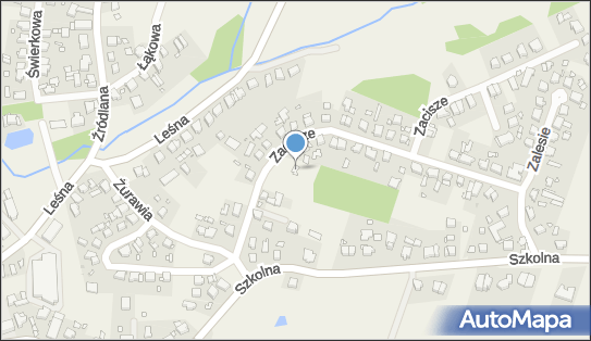 Ryszard Zieliński - Działalność Gospodarcza, Zagórze 34 62-004 - Przedsiębiorstwo, Firma, NIP: 7820063919