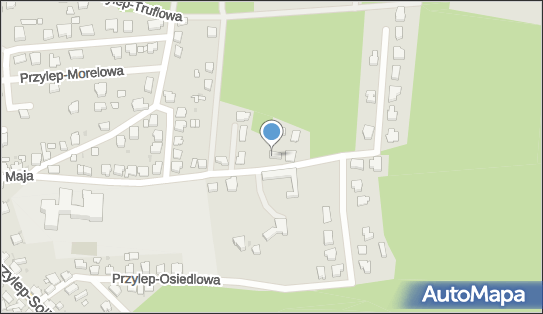 Rzeczoznawstwo i Usługi Ubezpieczeniowe, ul. Przylep-8 Maja 33 66-015 - Przedsiębiorstwo, Firma, numer telefonu, NIP: 9291621733
