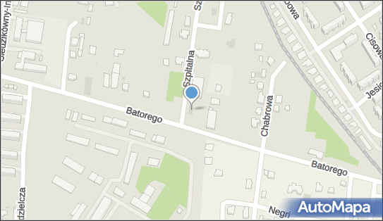 Rzymskokatolicka Parafia pw.św.S.Faustyny Kowalskiej, Łask 98-100 - Przedsiębiorstwo, Firma, numer telefonu, NIP: 8311190573