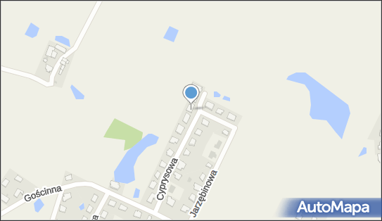 S.w.Car, Cyprysowa 11, Gutkowo 11-041 - Przedsiębiorstwo, Firma, NIP: 7393874112