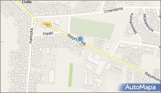 Sabina Borowik - Działalność Gospodarcza, ul. Reymonta 16, Gidle 97-540 - Przedsiębiorstwo, Firma, NIP: 9491529765