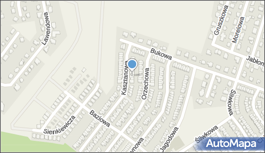 Safe Service Marcin Psiuch, Kasztanowa 17, Smolec 55-080 - Przedsiębiorstwo, Firma, NIP: 8942710214