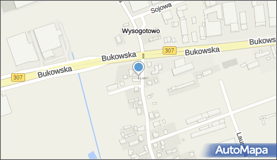 Salix, ul. Wierzbowa 155A, Wysogotowo 62-081 - Przedsiębiorstwo, Firma, NIP: 9251741477