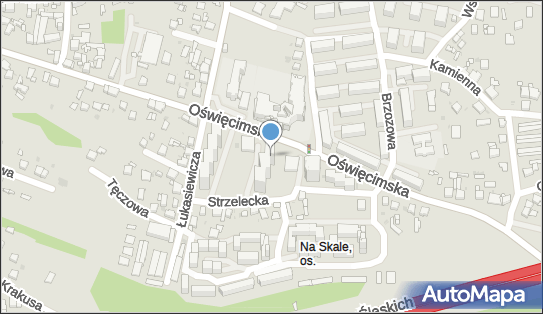 Samodzielna Działalność Sabina Piasecka, Oświęcimska 85B 41-707 - Przedsiębiorstwo, Firma, NIP: 6411560962