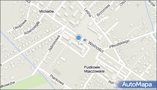 Samodzielny Publiczny Zakład Opieki Zdrowotnej w Myszkowie 42-300 - Przedsiębiorstwo, Firma, numer telefonu, NIP: 5771744296